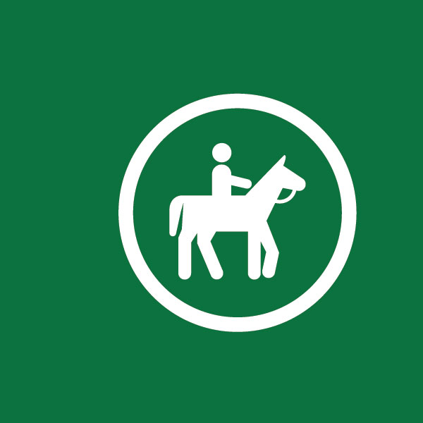 Horse Back Riding