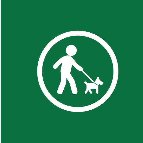 Dog walking