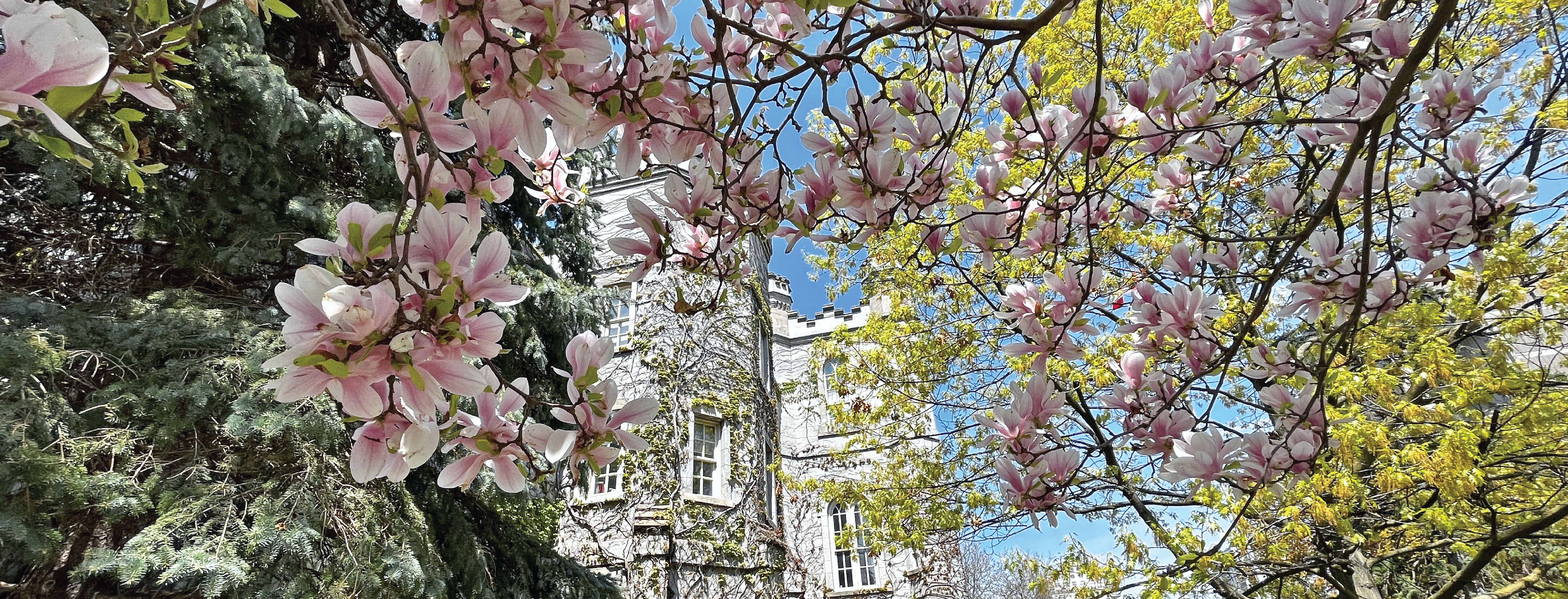 County Building Spring.