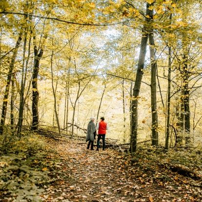 two women hiking in a forest 