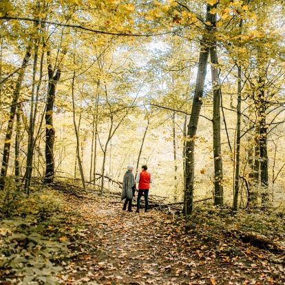 two women hiking in a forest 