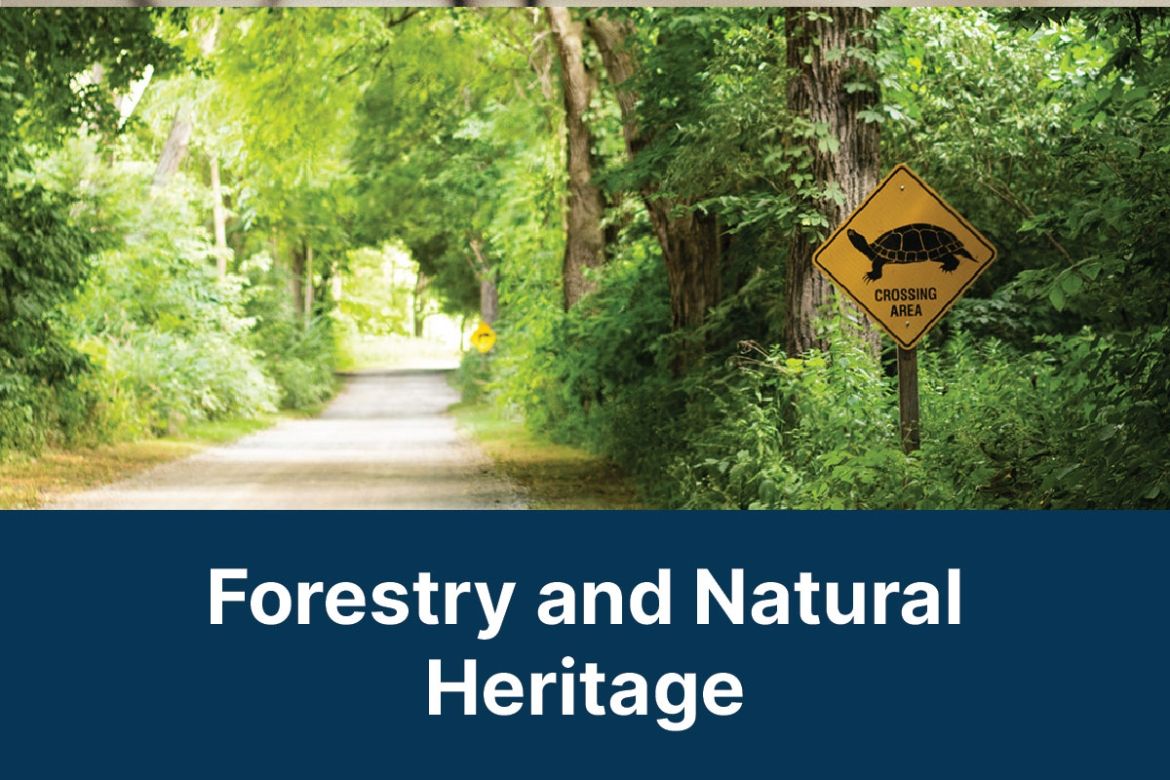 Forestry and Natural Heritage