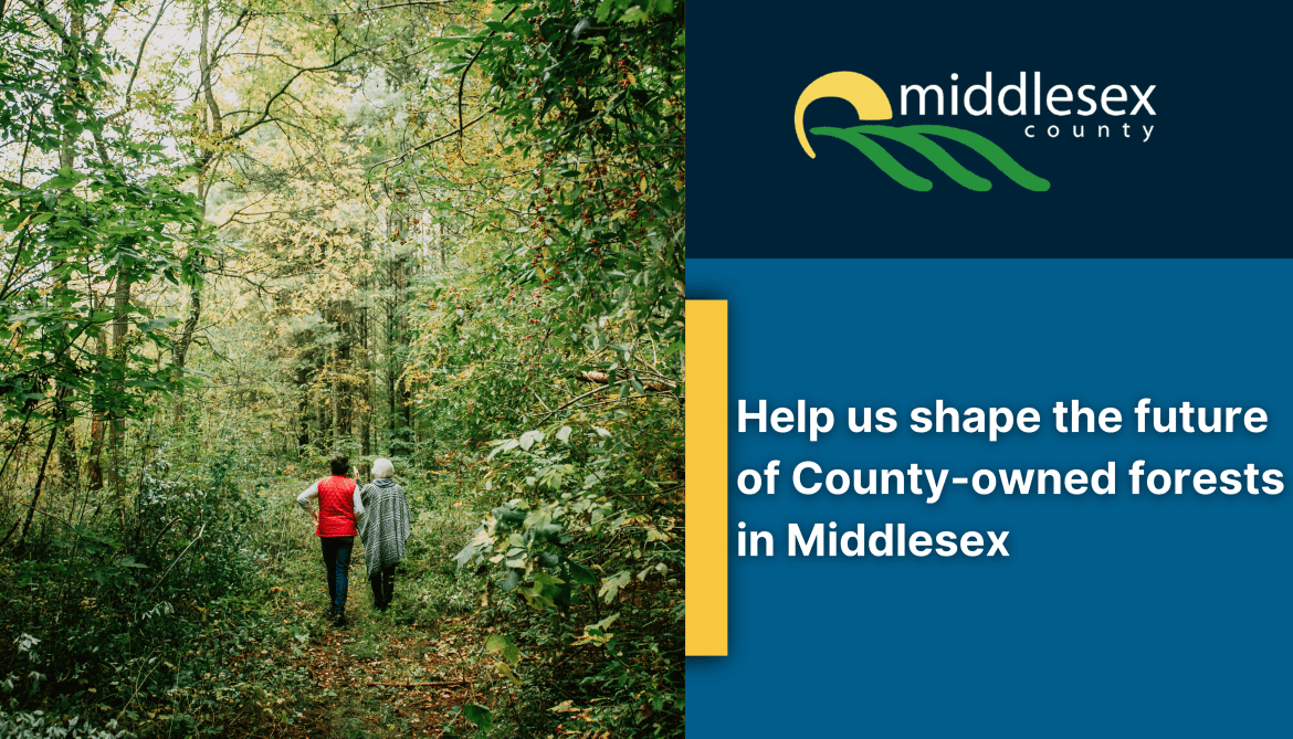 Help us shape the future of County-owned forests in Middlesex. 
