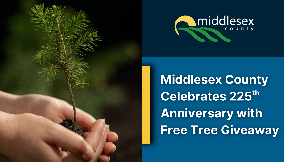 Image of hands holding spruce sapling with "Grab a free tree" text overlay, as well as the date June 27, 2025 and the words "225th Anniversary Middlesex County Free Tree Giveaway"
