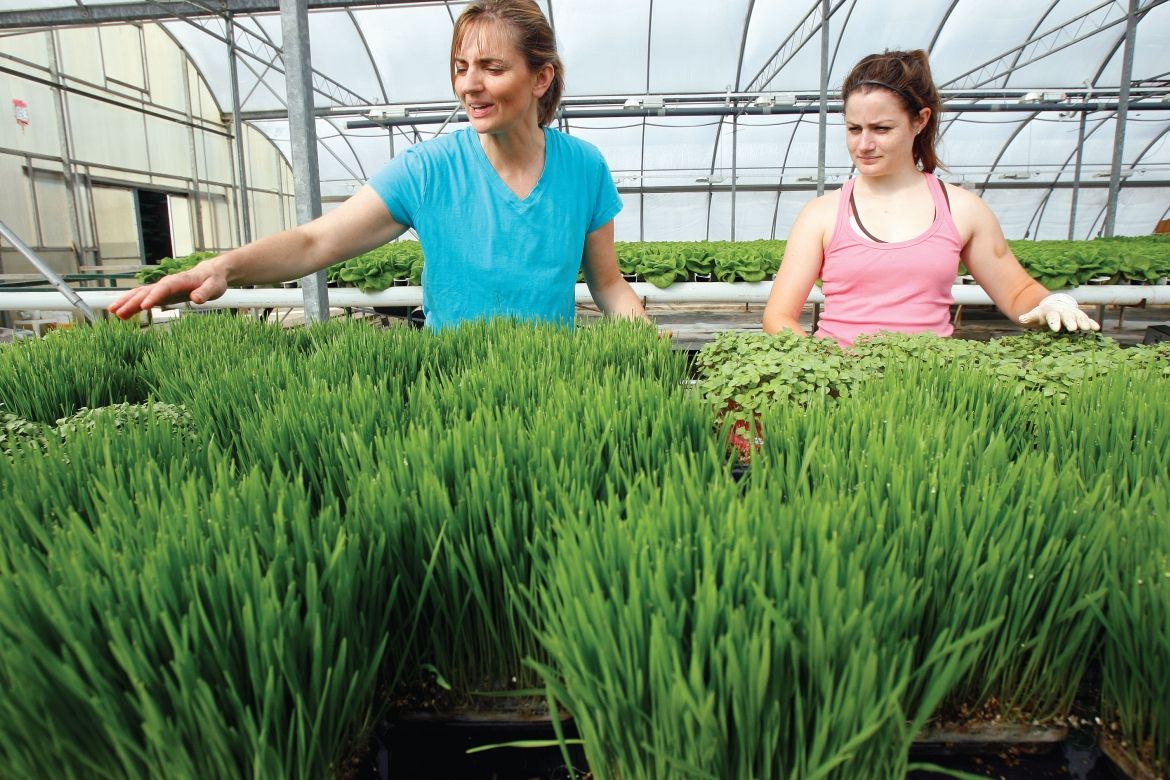 Two women in a greenhouse