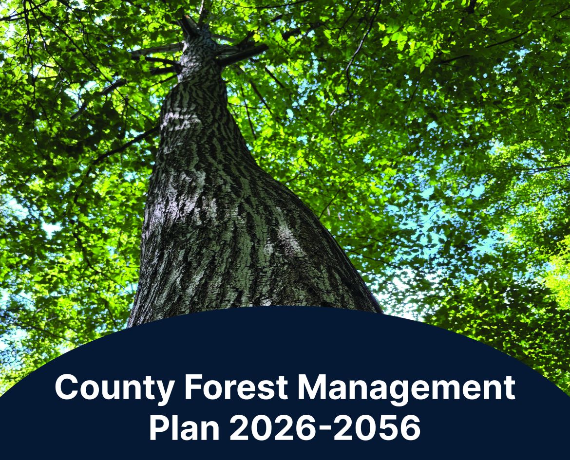 Image of a tree trunk with the words, "County Forest Management Plan 2026-2056"