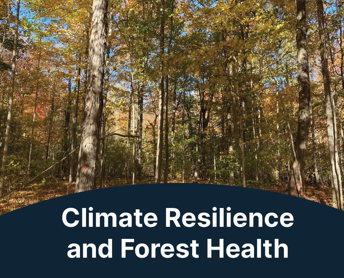 Climate Resilience and Forest Health