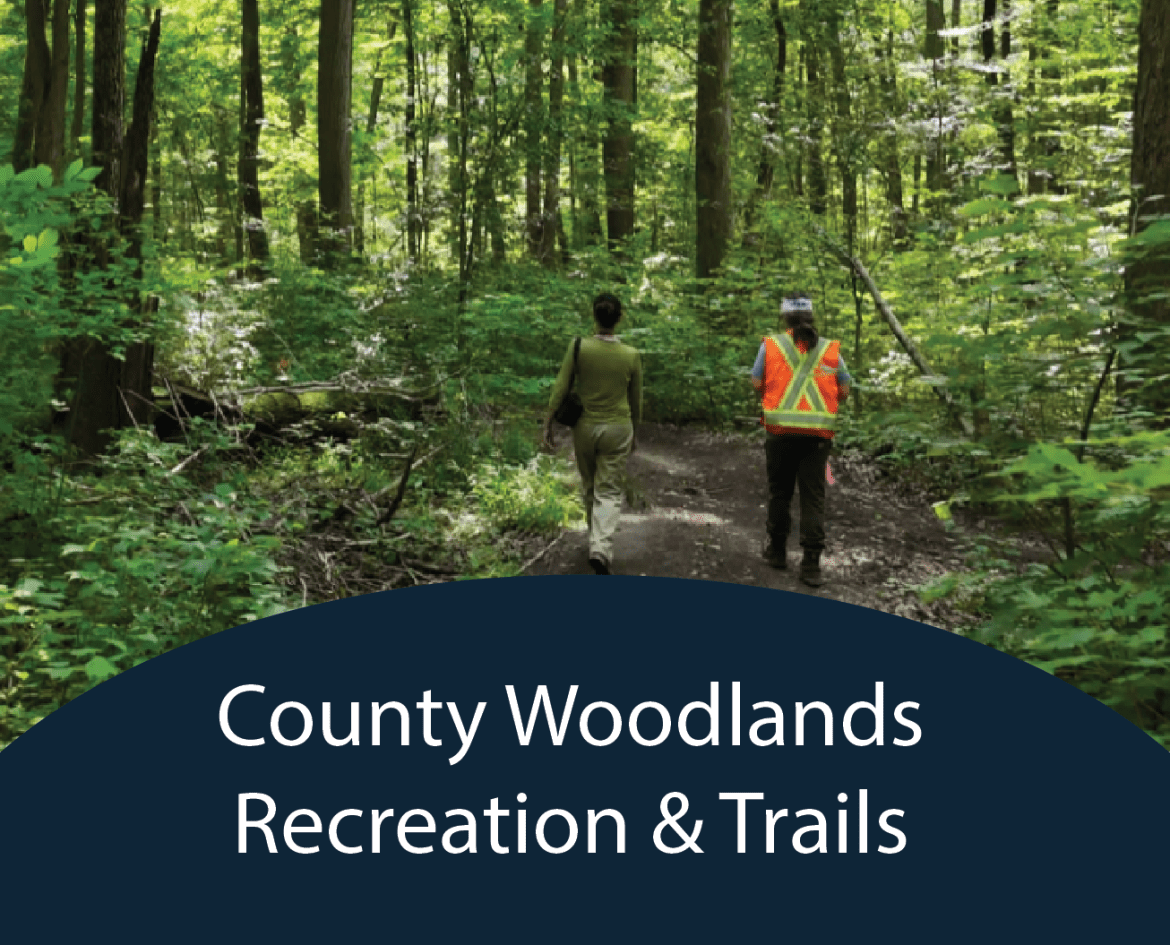 Two people walk on a trail in a forest. Text reads: County Woodlands Recreation and Trails.