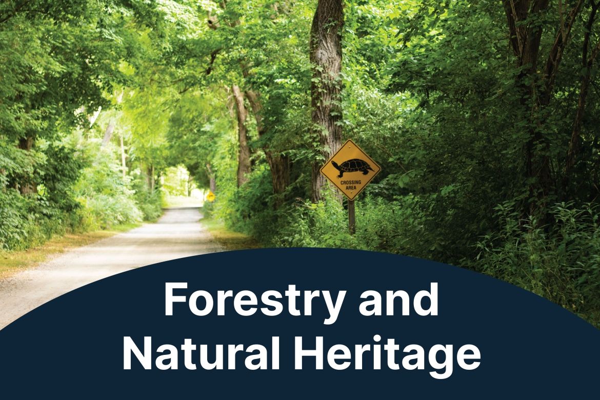 Forestry and Natural Heritage
