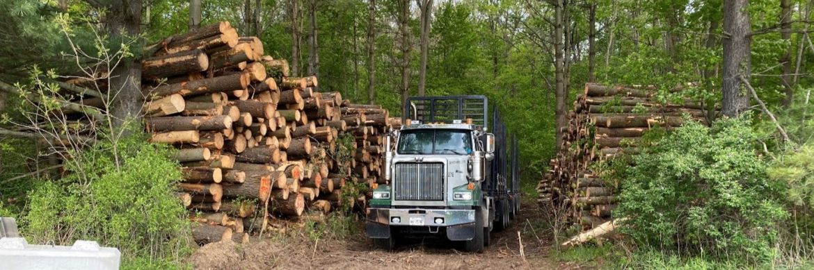 A logging truck. 