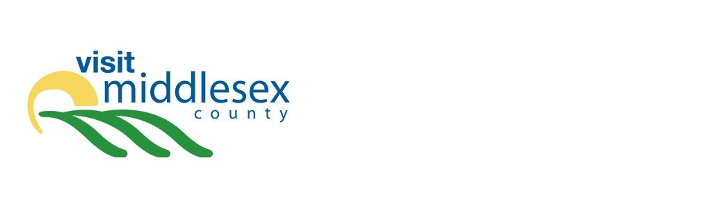 Visit logo