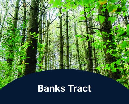 An image of a forest. Text reads Banks Tract.