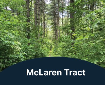 McLaren Tract