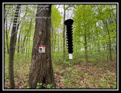 A funnel trap hanging from a tree.
