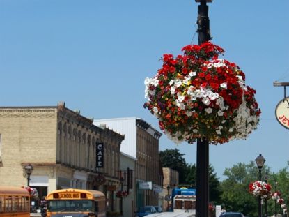 County - Streetview - Flowers