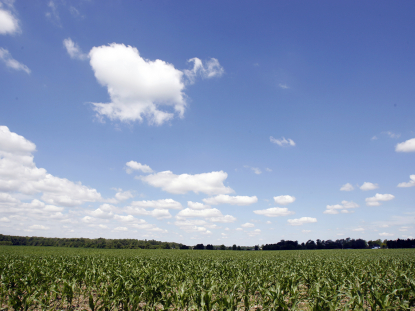 Farm Field - partly cloudy